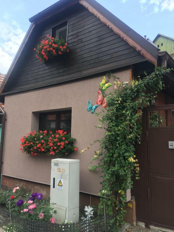 Maison Rosmina บราชอฟ ภายนอก รูปภาพ